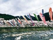 方須の桜の写真2