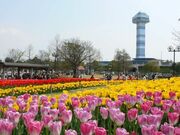 木曽三川公園センター「水と緑の館・展望タワー」の写真1