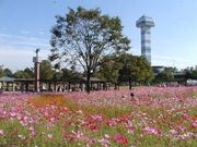 木曽三川公園センター 水屋(輪中の農家)の写真3