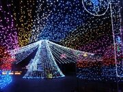 木曽三川公園センター 水屋(輪中の農家)の写真4