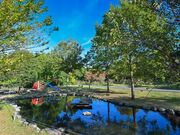 グリーン・ウッド関ケ原 オートキャンプ場の写真1