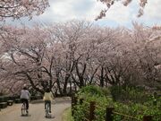 本戸輪中堤の写真2