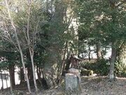 立岩の写真2
