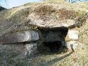 井高一号古墳(火塚)の写真3