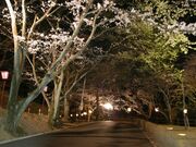 山楠公園の写真2