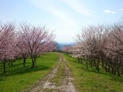 キリン木曽川水源の森(八百津町笹池)の写真2
