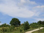 キリン木曽川水源の森(八百津町笹池)の写真3