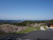 キリン木曽川水源の森(八百津町笹池)の写真4