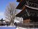 飛騨国分寺の大イチョウの写真3