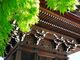 醫王山 飛騨国分寺の写真3