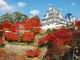 郡上八幡城の写真3