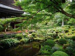 三千院 修正会の写真1