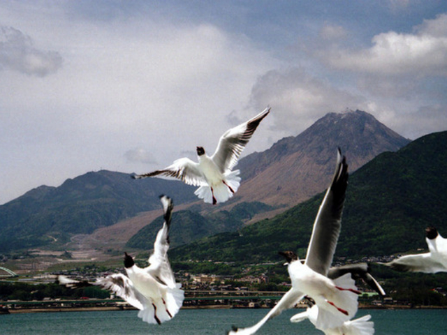 しんちゃんさんの平成新山の投稿写真1