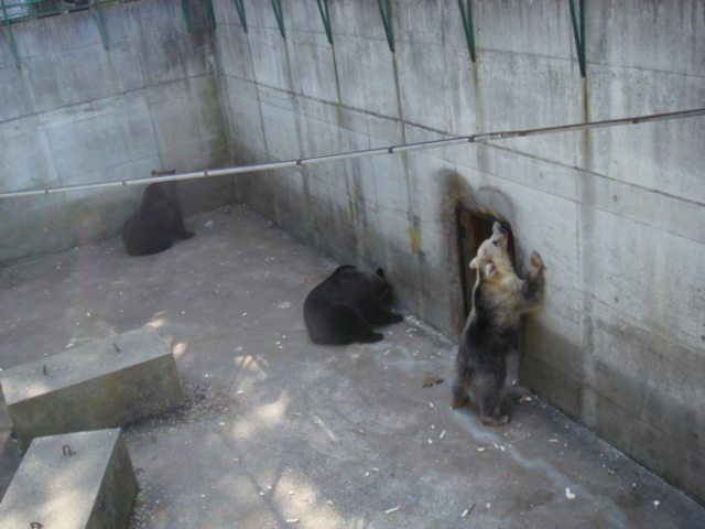 芦野公園