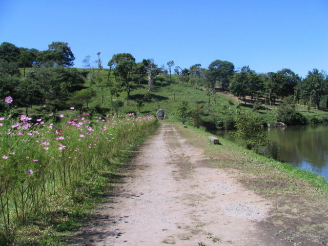 松本浅間温泉 ホテル玉之湯さんのあらふね湖の投稿写真1