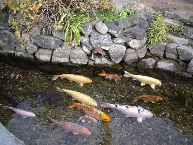 藍場川