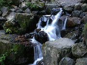 akiさんの養老の滝の投稿写真1