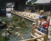 実生さんの第1番札所霊山寺の投稿写真1