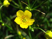 松本浅間温泉 ホテル玉之湯さんの長峰山の投稿写真1
