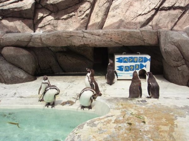 魚津水族館