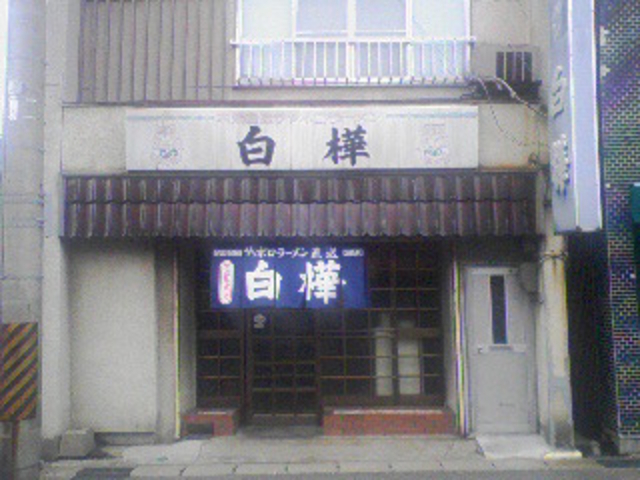 白樺