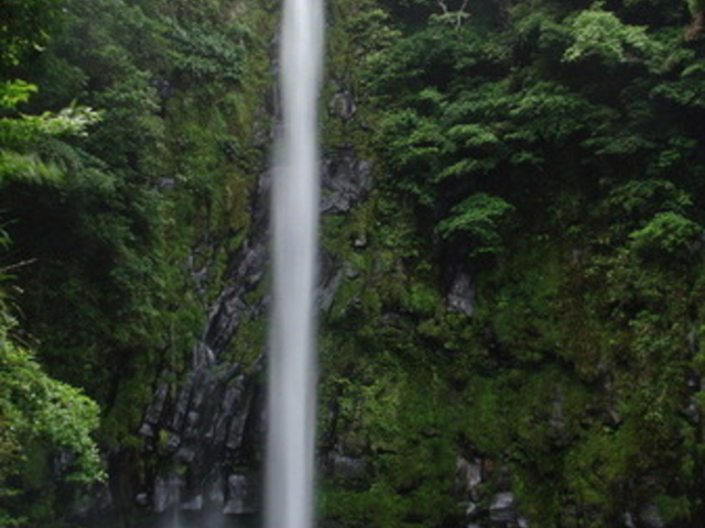 ぽんぽこさんの八戸観音滝の投稿写真1