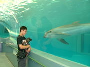 ビーさんの太地マリナリウムの投稿写真1