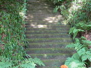 てえすけパパさんの妙法寺(苔寺)の投稿写真1