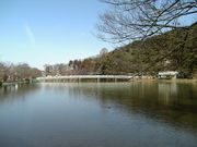 ひっちぃさんの竜ヶ池の投稿写真1