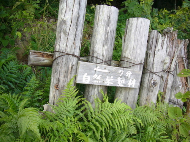 野崎島自然学塾村
