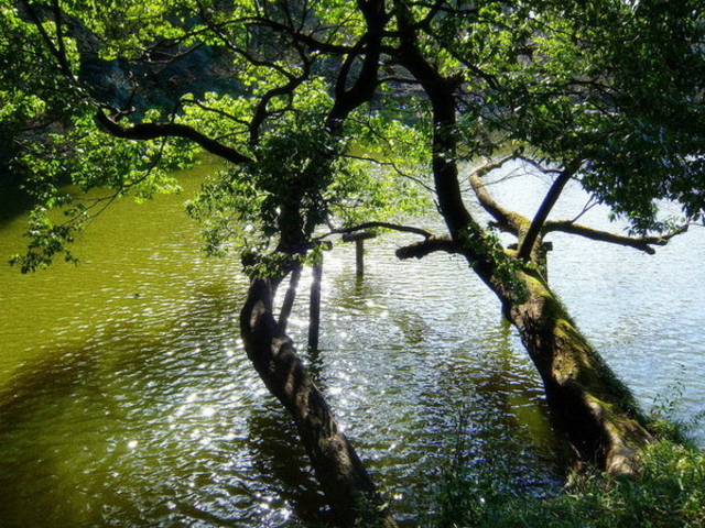 小石川後楽園