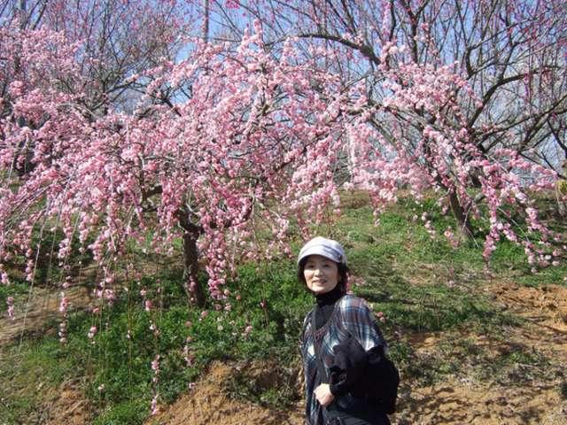 ブーパパさんの梅の里公園の投稿写真1