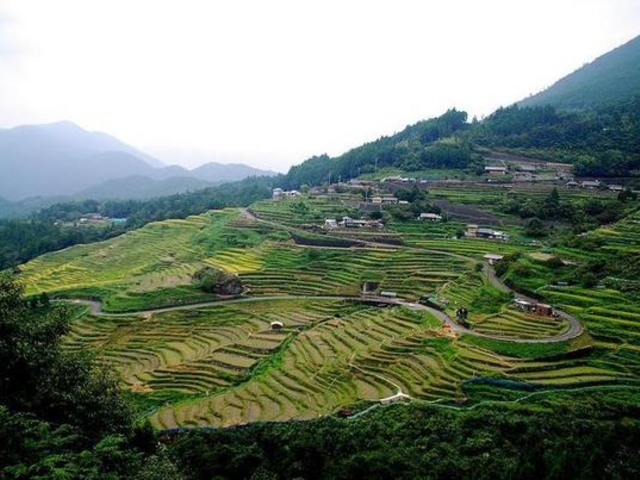 丸山千枚田