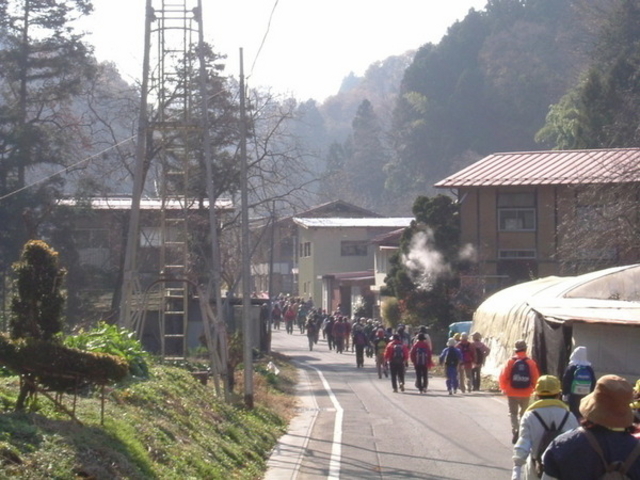 なめこやさんの白髭宿場の投稿写真1