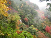 ススムさんの五家荘の紅葉の投稿写真1