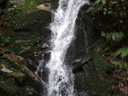 もとひろさんの鴬の滝の投稿写真1