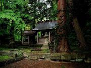 軻遇突智さんの徳山大神宮の投稿写真1