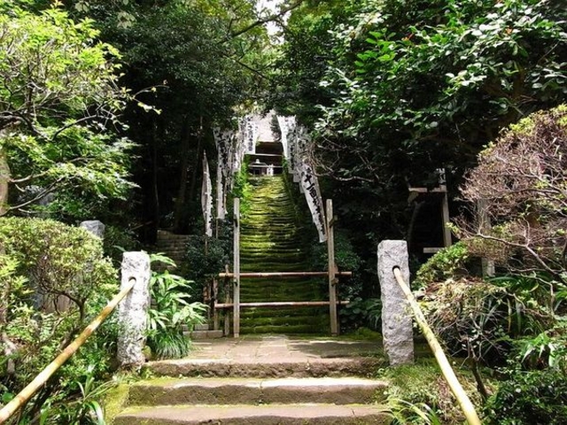 杉本寺