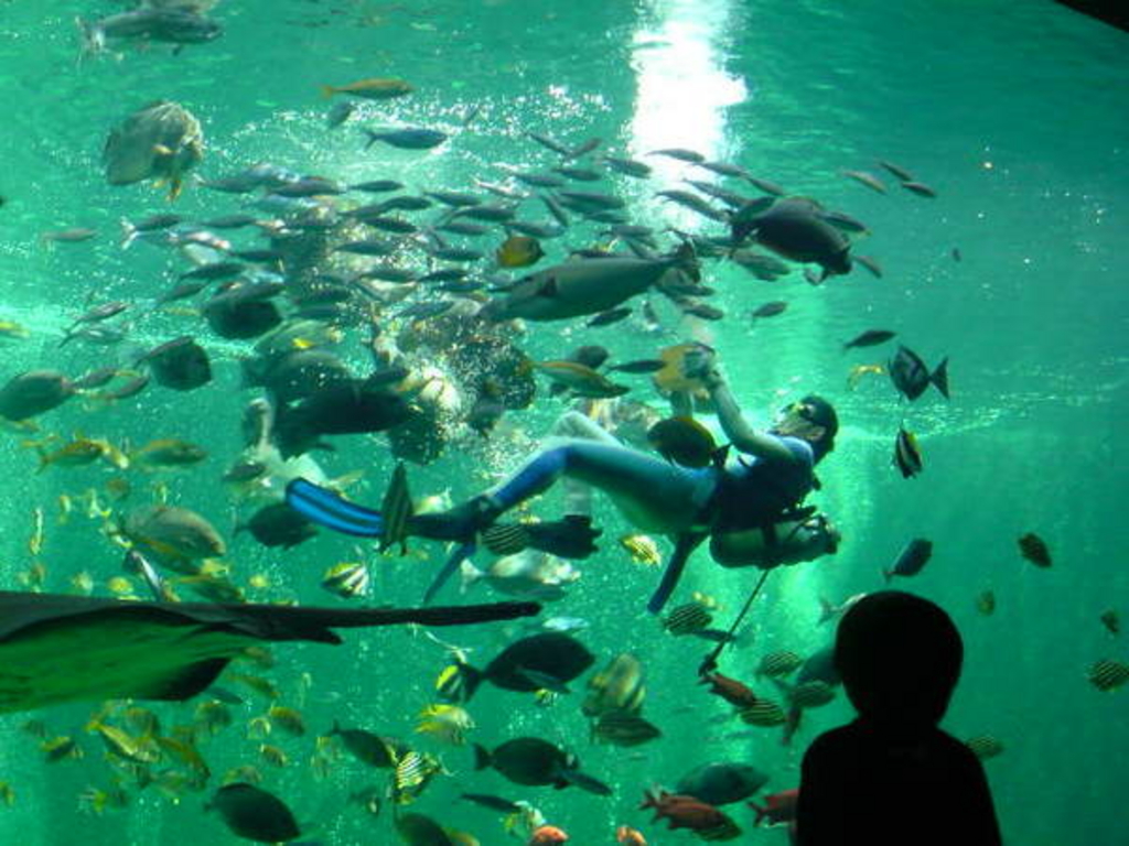 箱根園水族館