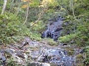 タナちゃんさんの岡山県立森林公園の投稿写真1