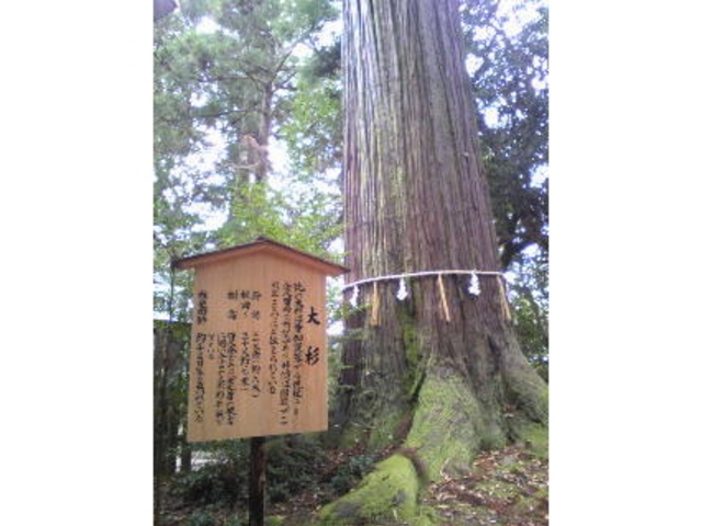 須佐神社(島根県出雲市)