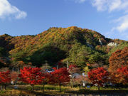 アトミック士大夫さんの矢祭山の紅葉の投稿写真1