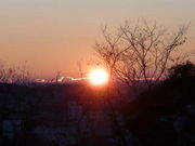 あずこさんの足利織姫神社の投稿写真1
