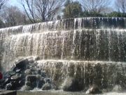 子羊さんの新宿中央公園の投稿写真1