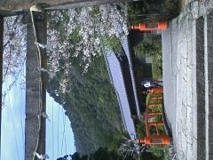 眼鏡ッコさんの熊野古道 大門坂への投稿写真1
