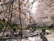 タラちゃんさんの七谷川の投稿写真1