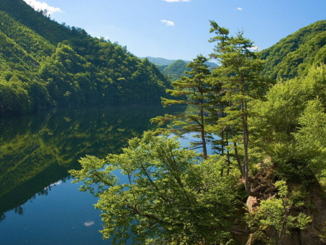 ヤマメさんの洞元湖(体験観光)の投稿写真1