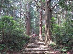はやぴんさんの熊野古道 大門坂への投稿写真1