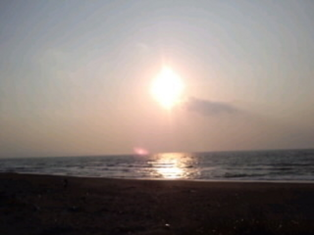 あゆさんのはまなす公園の投稿写真1