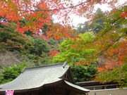 spiさんの清水寺の投稿写真1